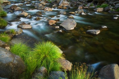 Grass, rock and water