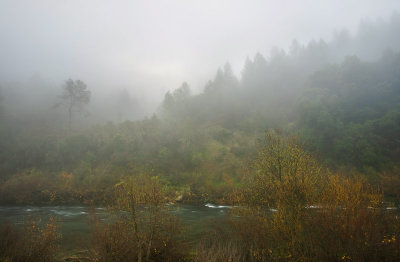 River fog