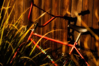 Bike in the yard