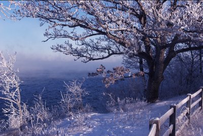 12 -- Winter view