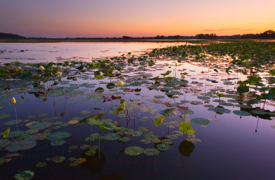 Dusk at Spring Lake