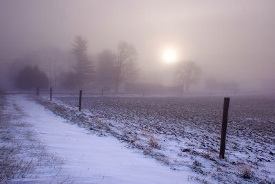 Foggy morning