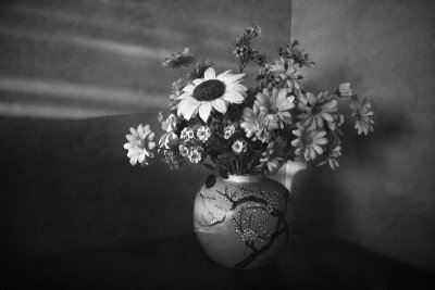 Flowers in the corner