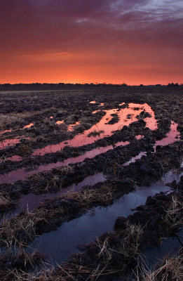 Flooded field