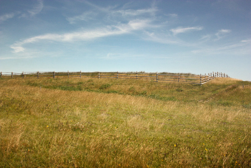 Fragile Fence