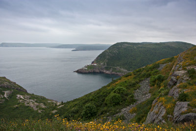 View Towards Cape Spear