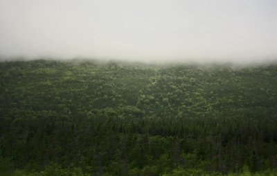 Mist Rolling In...