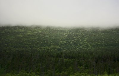 Mist Rolling In...