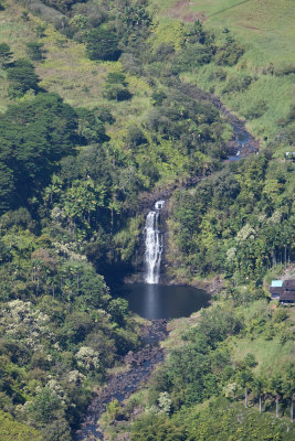 hawaii_show-113.jpg