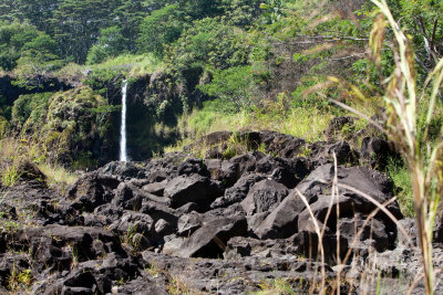 hawaii_show-160.jpg