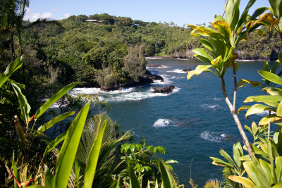 hawaii_show-162.jpg