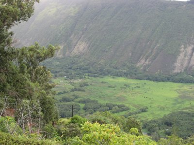 hawaii_show-175.jpg