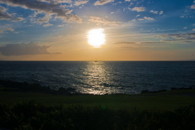 hawaii_show-181.jpg
