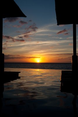 hawaii_show-183.jpg