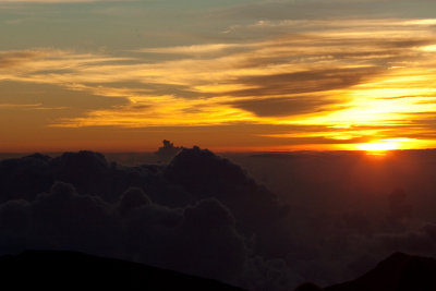 hawaii_show-197.jpg