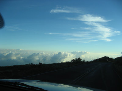 hawaii_show-202.jpg