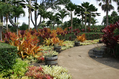 hawaii_show-21.jpg