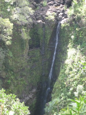hawaii_show-214.jpg