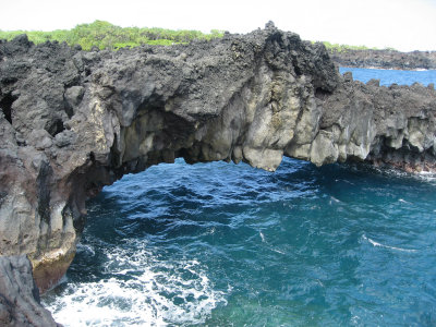 hawaii_show-218.jpg