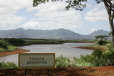 hawaii_show-25.jpg