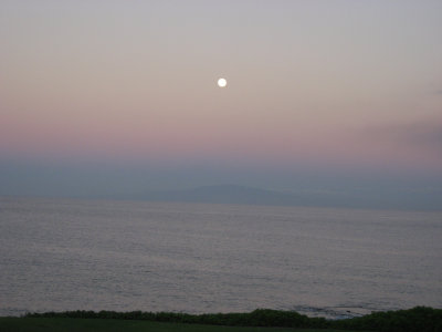 hawaii_show-272.jpg