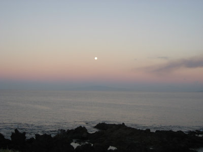hawaii_show-273.jpg