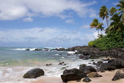 hawaii_show-34.jpg