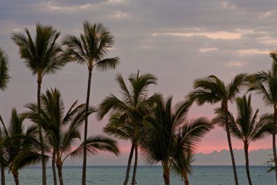 hawaii_show-54.jpg