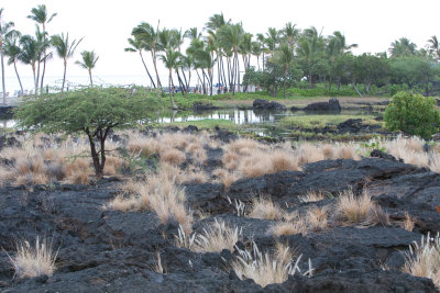 hawaii_show-55.jpg