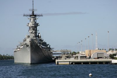 hawaii_show-6.jpg