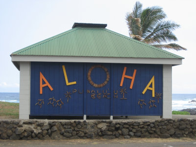 hawaii_show-68.jpg