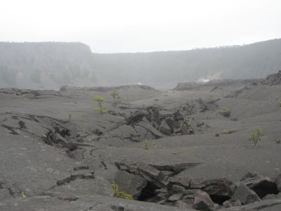 hawaii_show-90.jpg