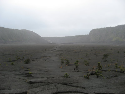 hawaii_show-95.jpg