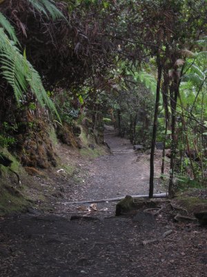 hawaii_show-96.jpg