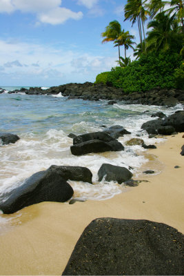 hawaii_prints