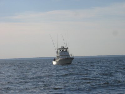Hyper Striper