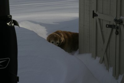 Chase rounding the Shed