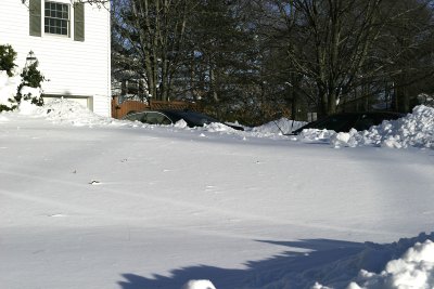 Englands Front Lawn