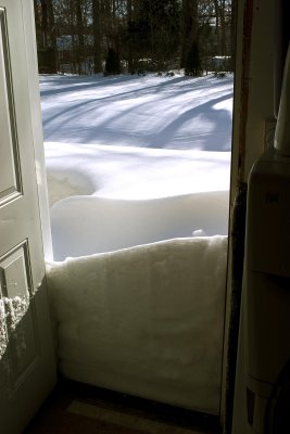 Backdoor Snow