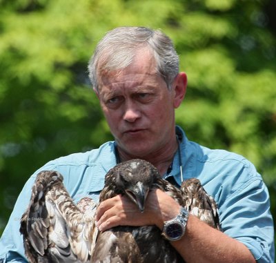 Eagle Releases 7/25/09 by Wildlife Center of VA