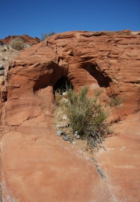 10-3-09 Valley of Fire 0106.jpg