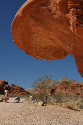 10-3-09 Valley of Fire 0510 .jpg