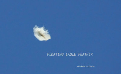 eagle feather 0056 2 5-22-08.jpg