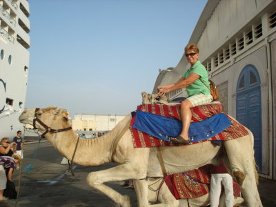 A very BIG Camel