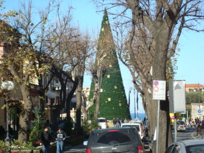 DSC02397.JPG