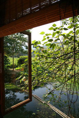 Pond facing window