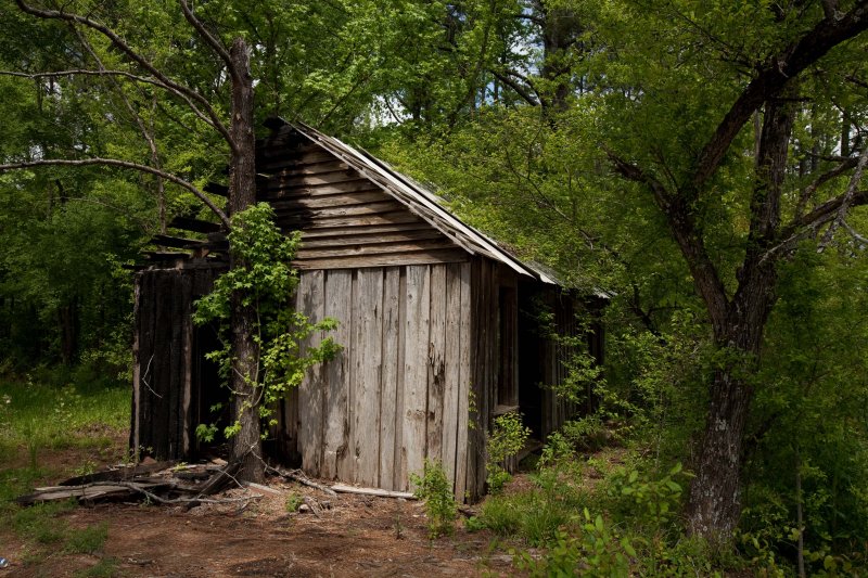 one tree house.jpg