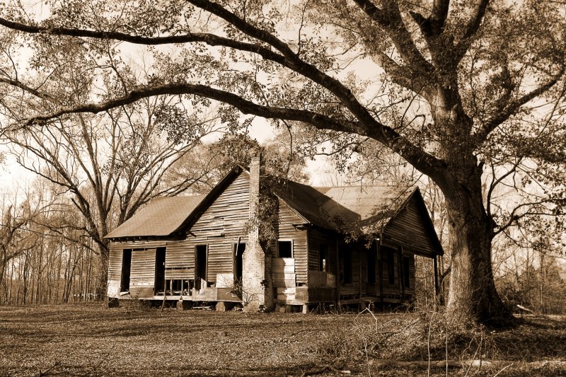 sepia housetree_edited-2.jpg