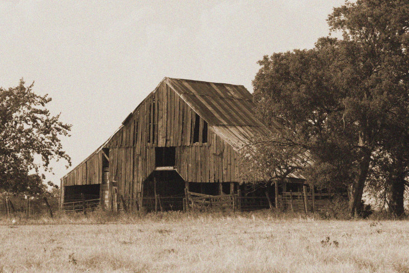 texas barn_edited-3.jpg