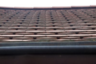 g1/14/518714/3/126672730.makdpKm2.jpg